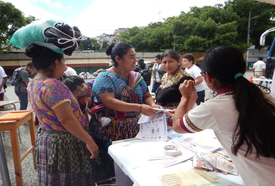 imagen 13