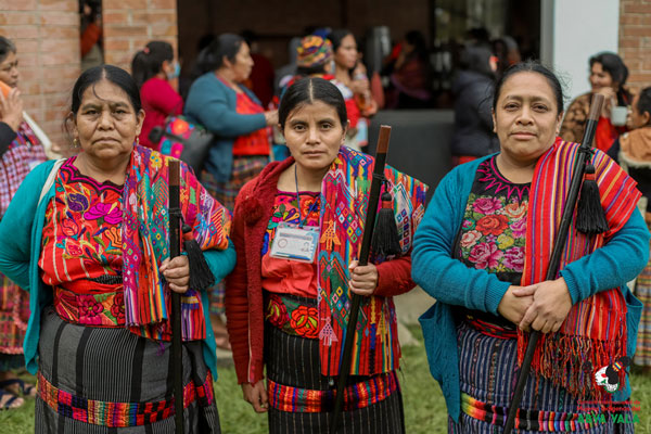 imagen ecofeminismo