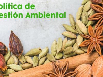 InteRed y su compromiso con el medioambiente