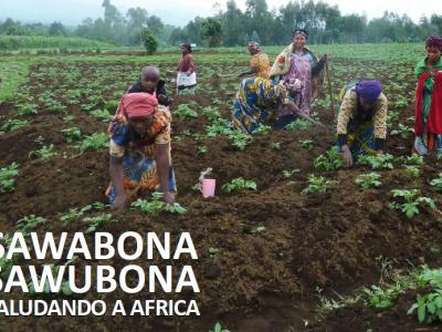 Saludando a África