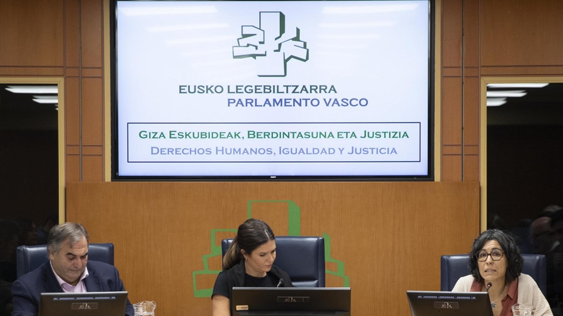 InteRed comparece como experta en el proceso de tramitación de la Ley Vasca de Cooperación y Solidaridad