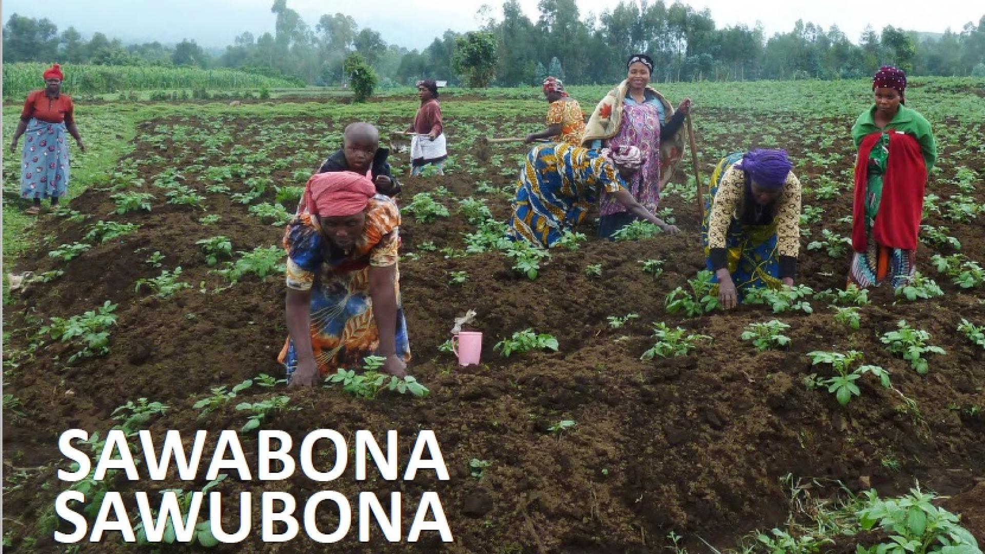 Saludando a África